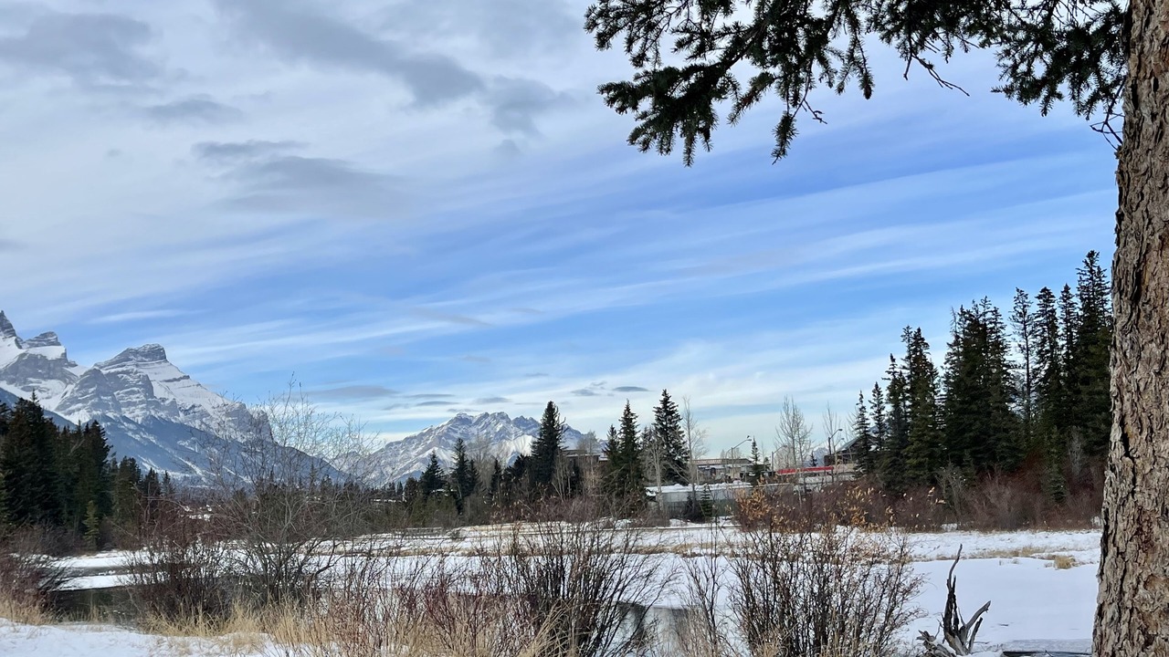 Photo of Others in Cougar Creek