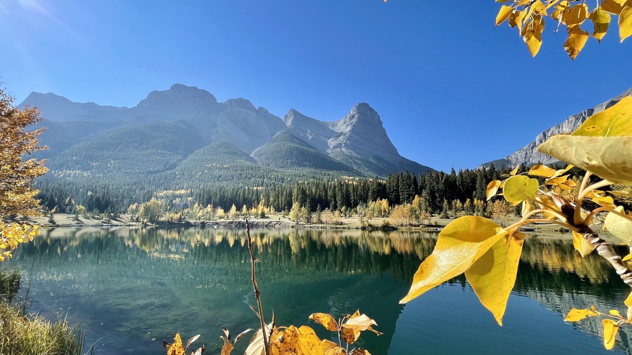 Photo of Others in Cougar Creek