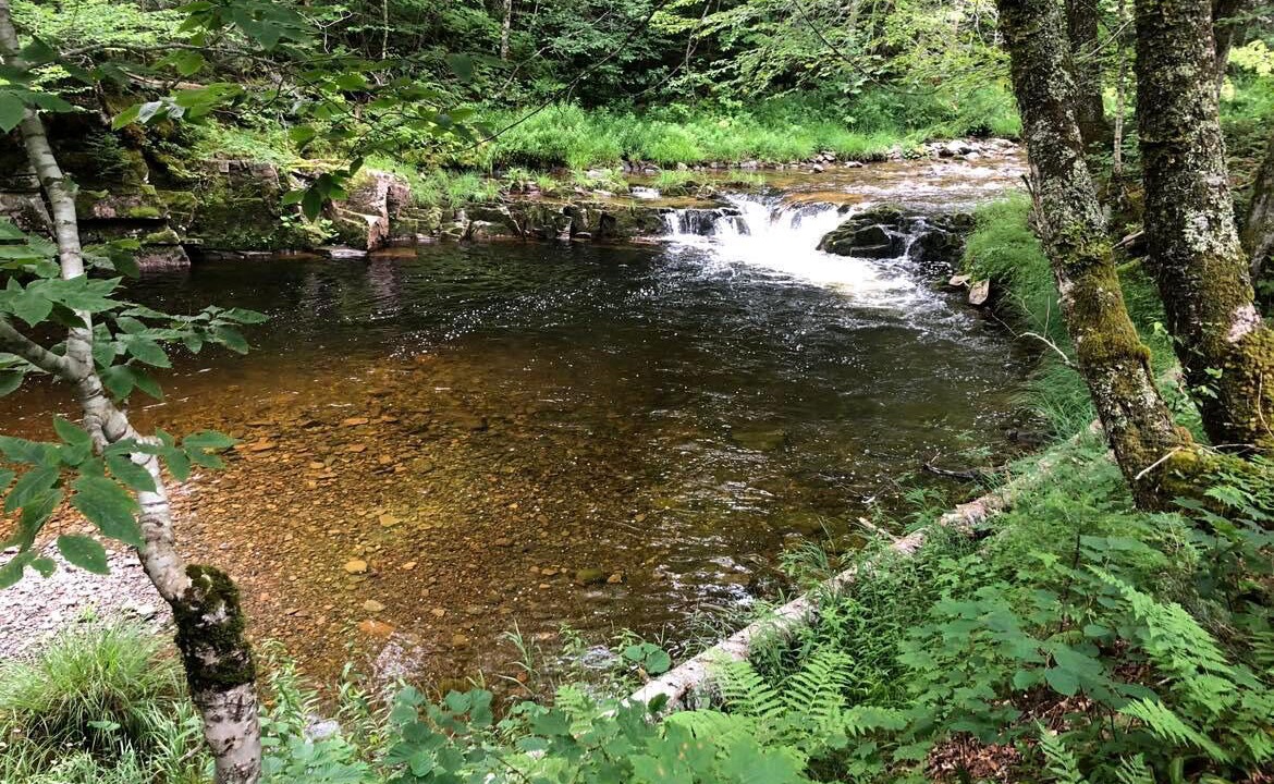 Photo of Others in Margaree