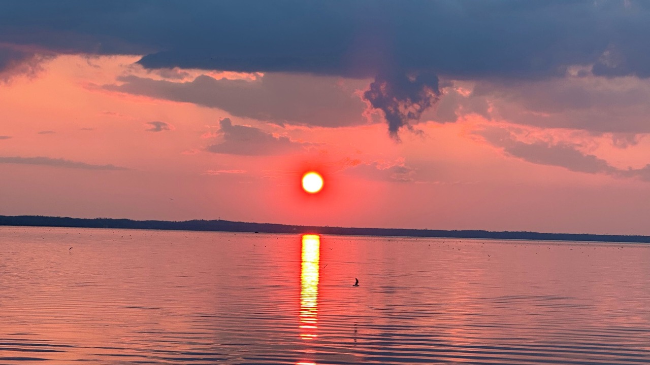 Photo of Others in Alberta Beach