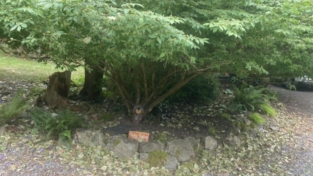 Photo of Others in Bowen Island
