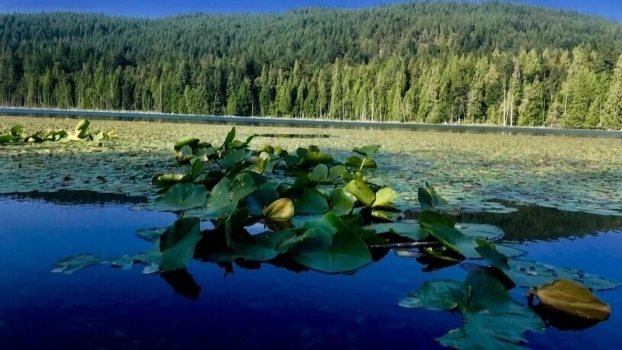 Photo of Others in Bowen Island