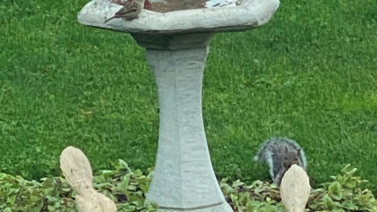 Photo of Outdoor in Grimsby