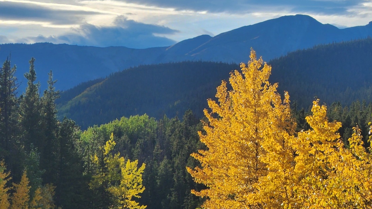 Photo of Outdoor in Jasper