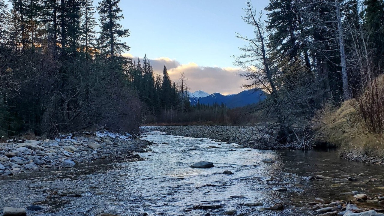 Photo of Others in Jasper