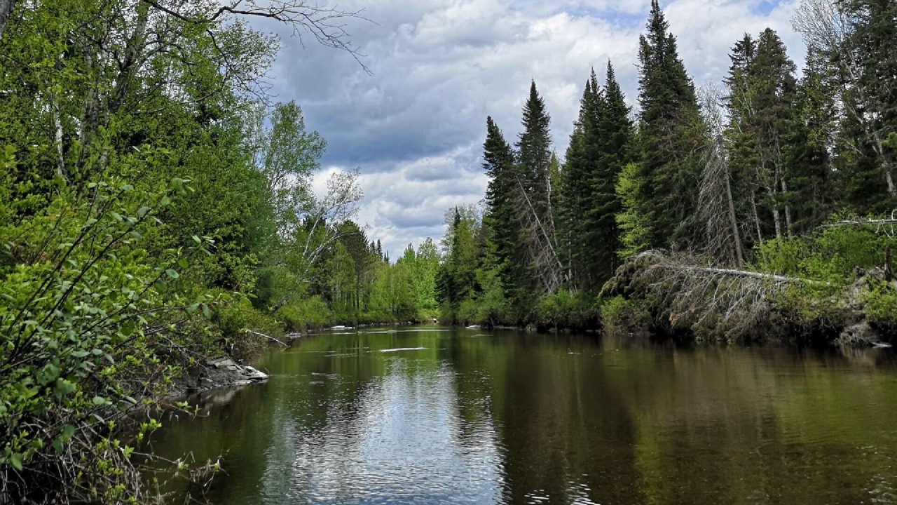 Photo of Others in Lac-Etchemin