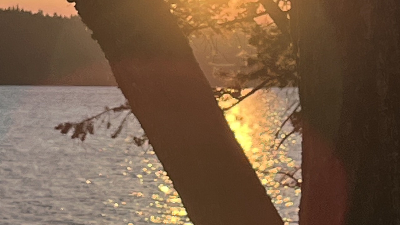 Photo of Others in Lac La Hache