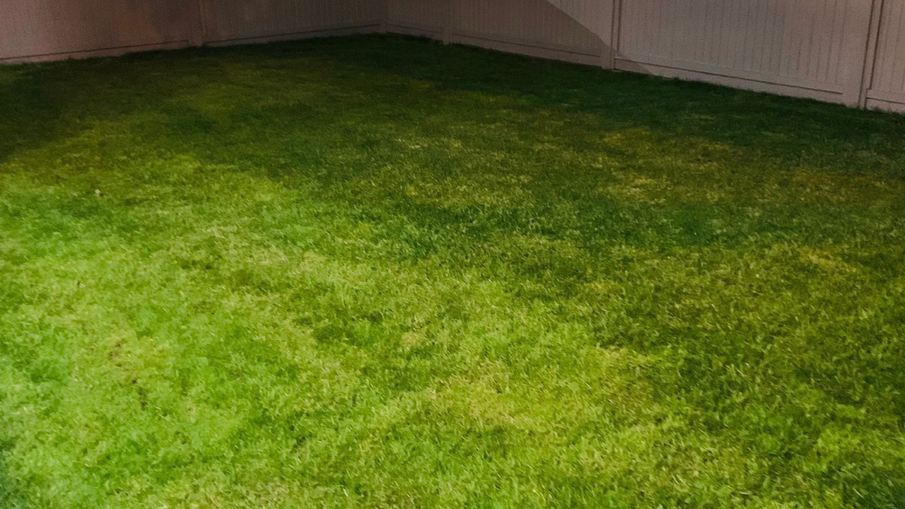 Photo of Outdoor in West Abbotsford