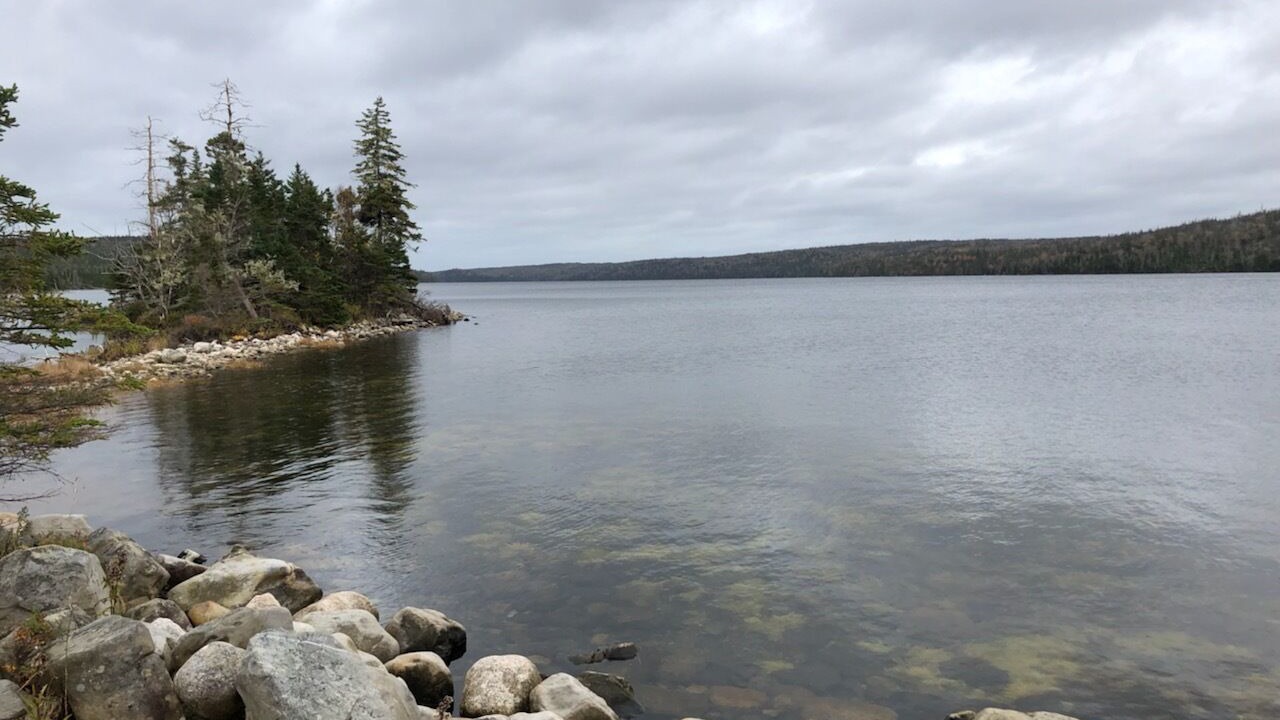 Photo of Others in Guysborough County