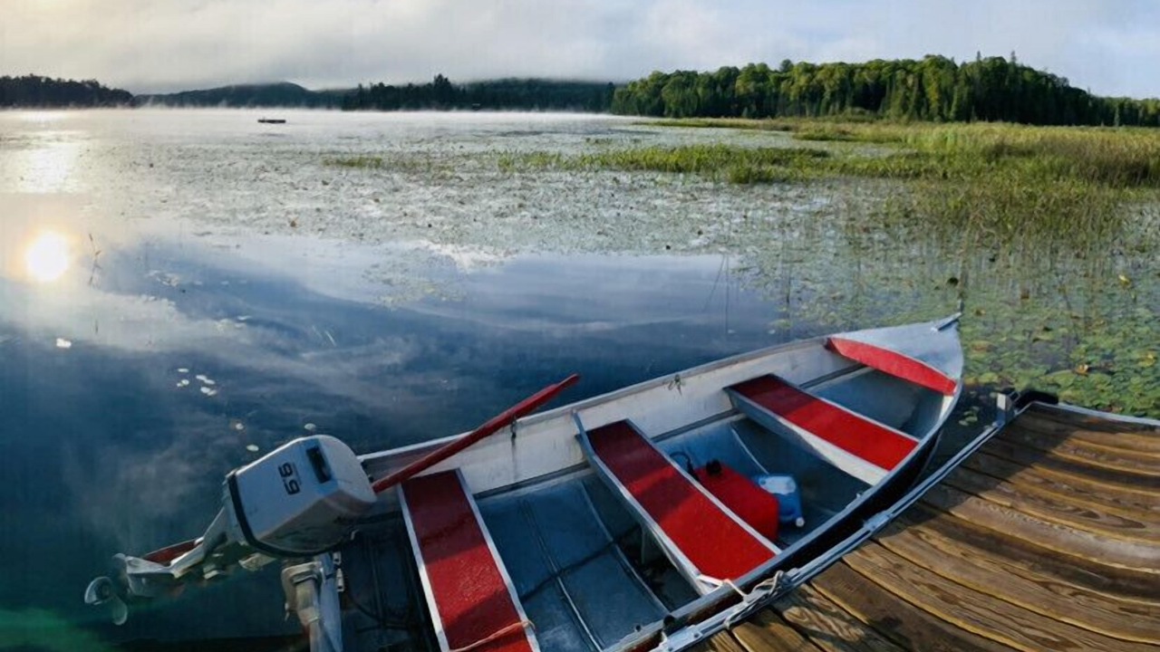 Photo of Others in La Peche