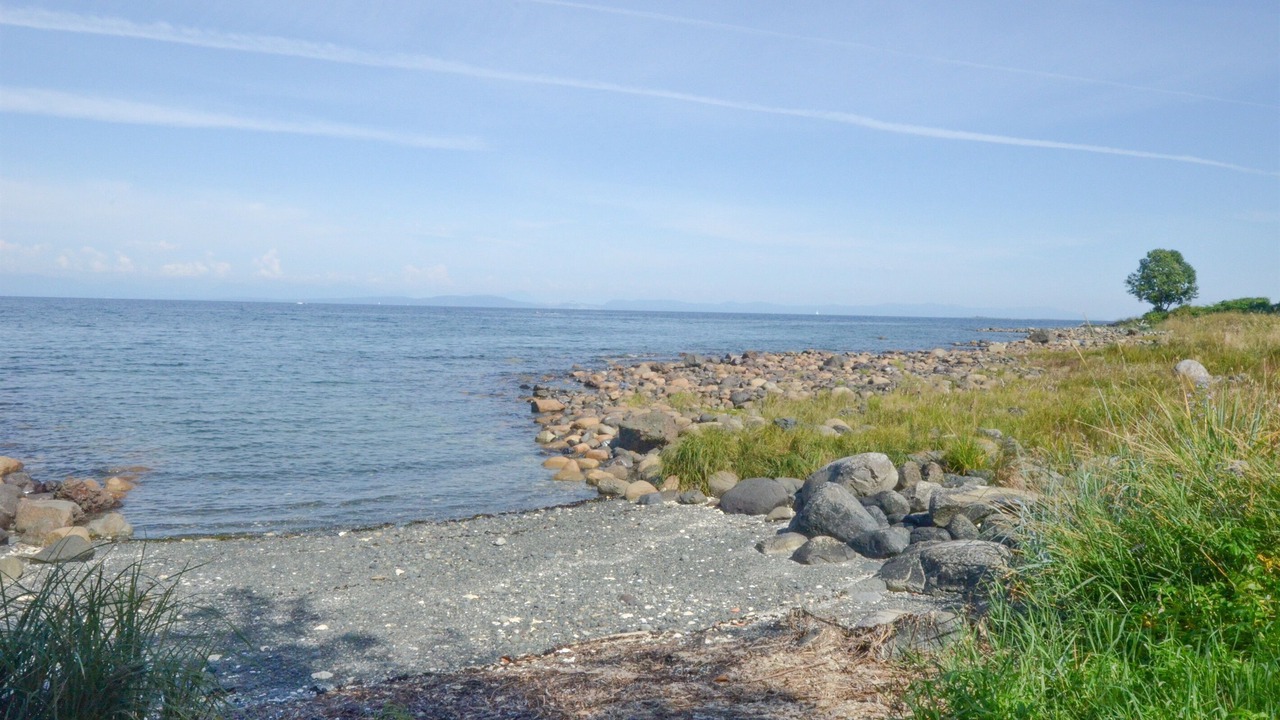 Photo of Others in Courtenay