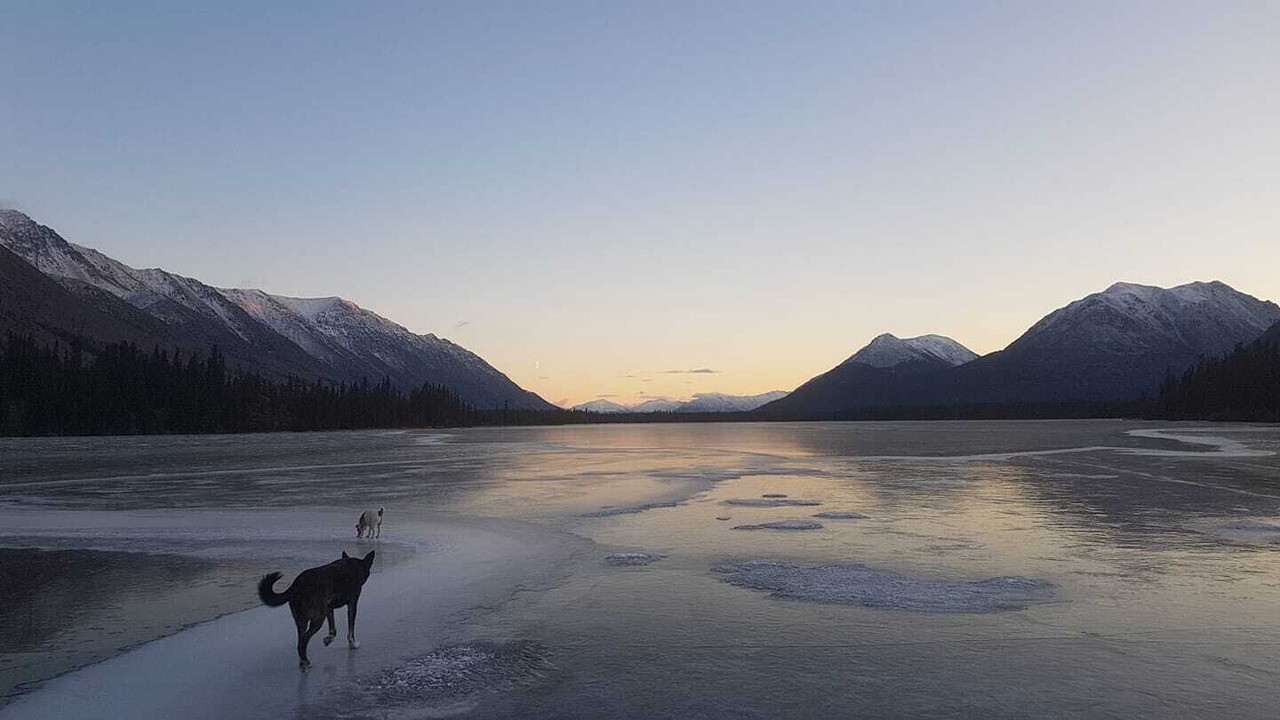 Photo of Others in Yukon