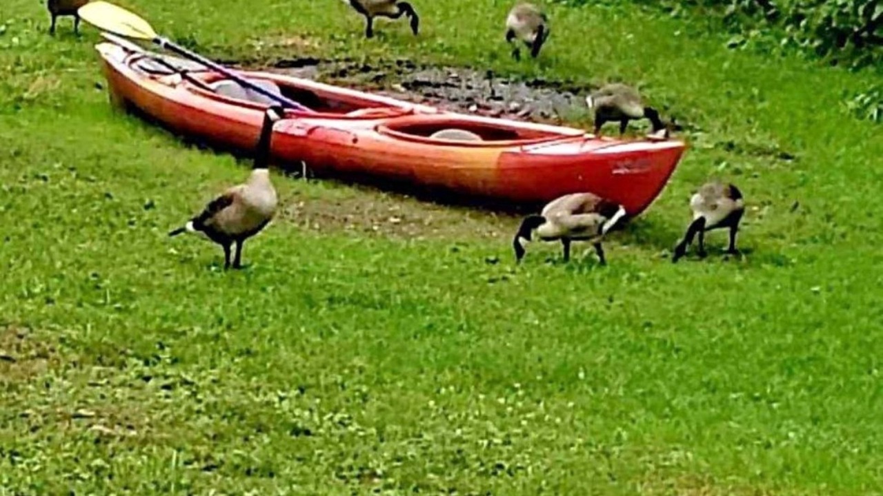 Photo of Others in Riviere-Rouge