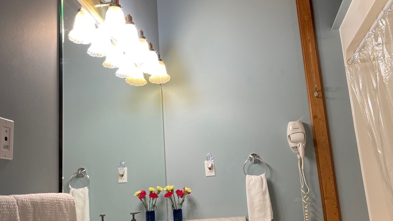 Photo of Bathroom in Selma Park