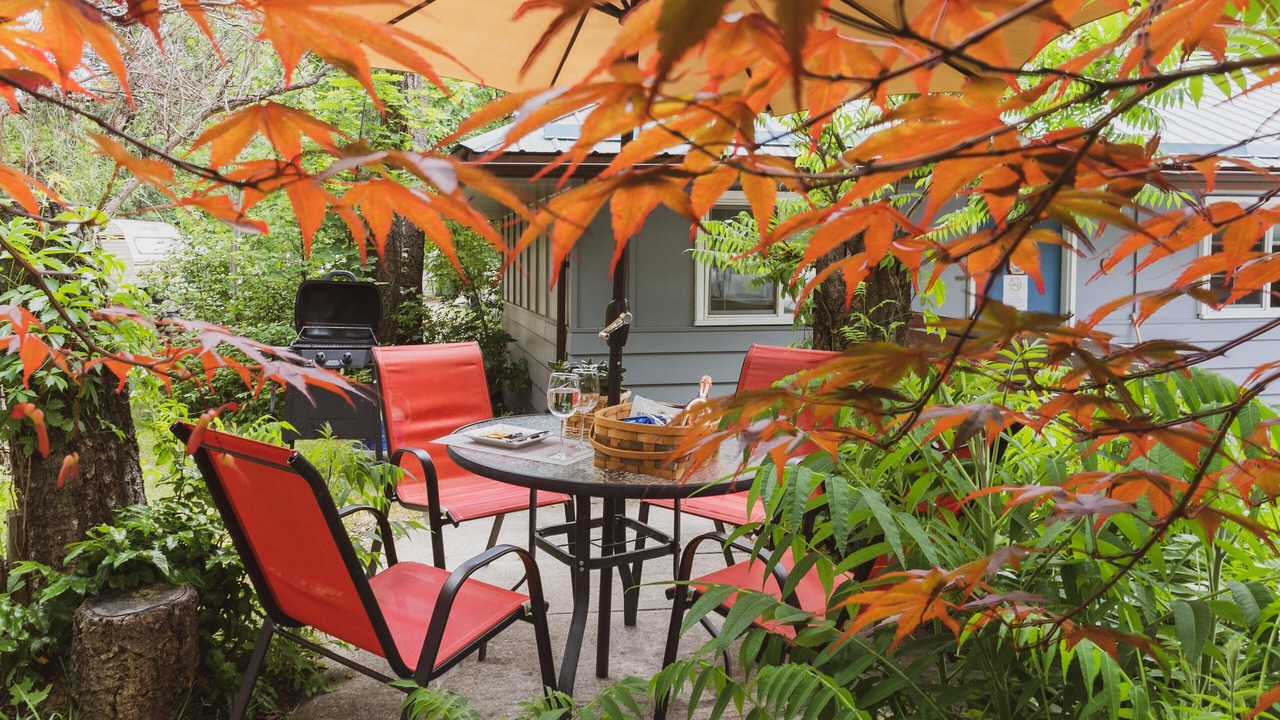 Photo of Outdoor in Christina Lake