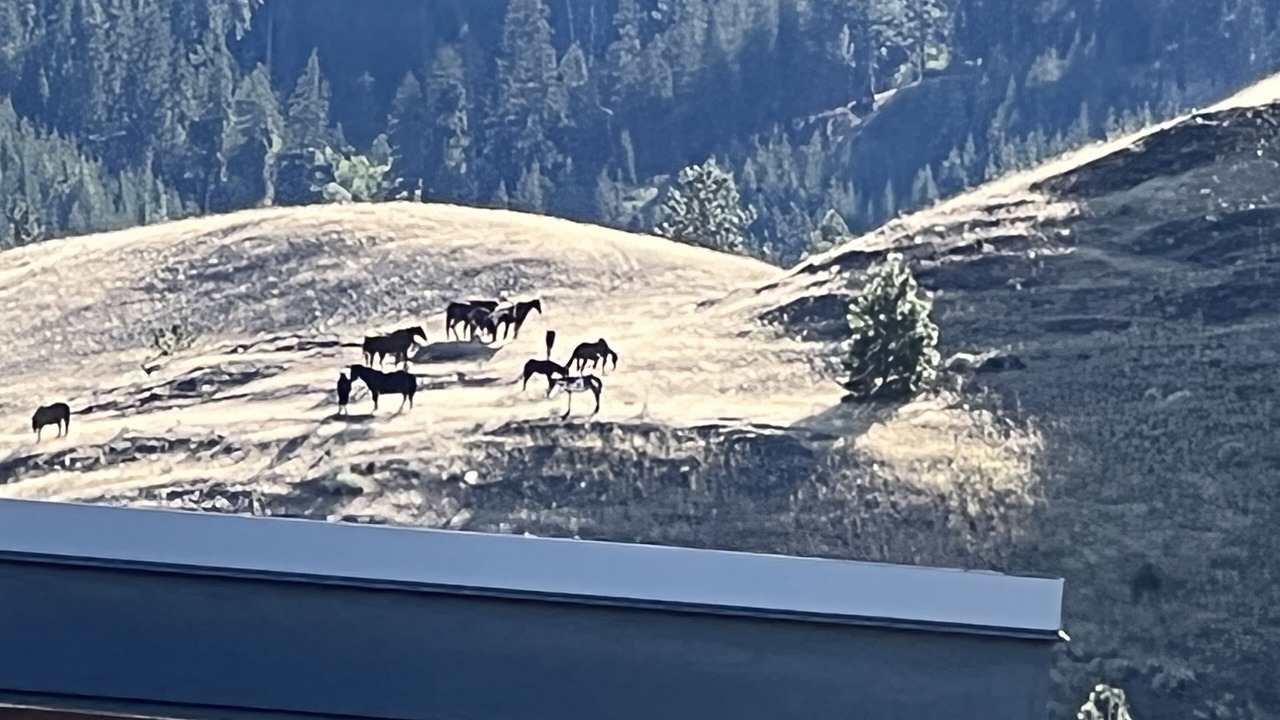 Photo of Others in Okanagan-Similkameen