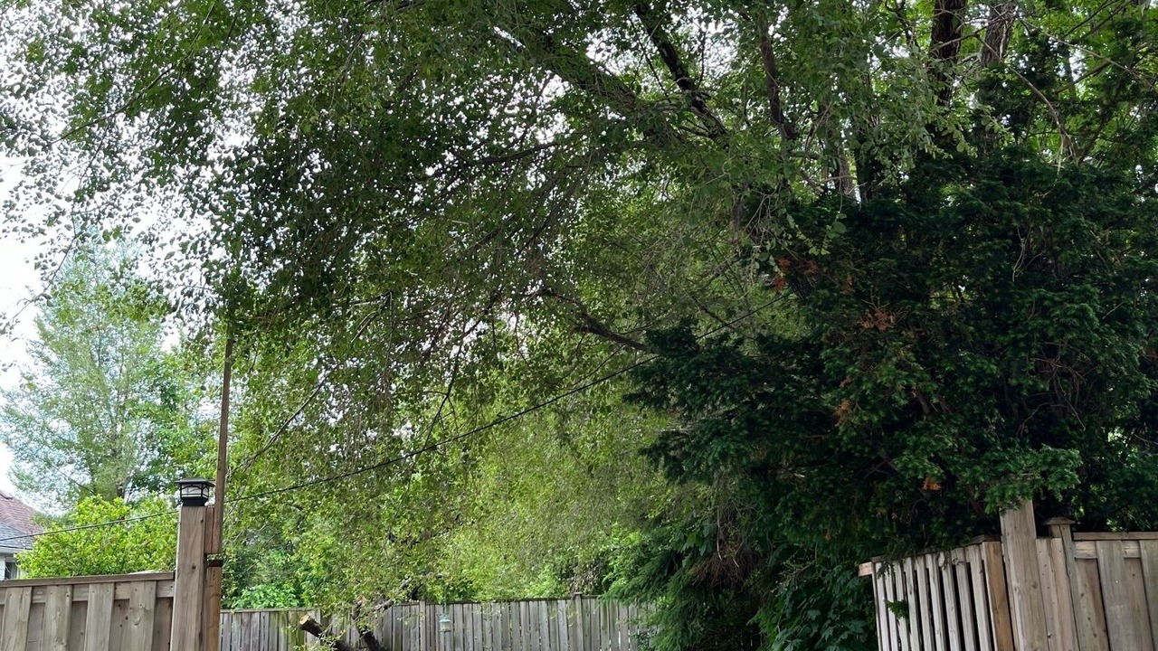 Photo of Outdoor in Six Points