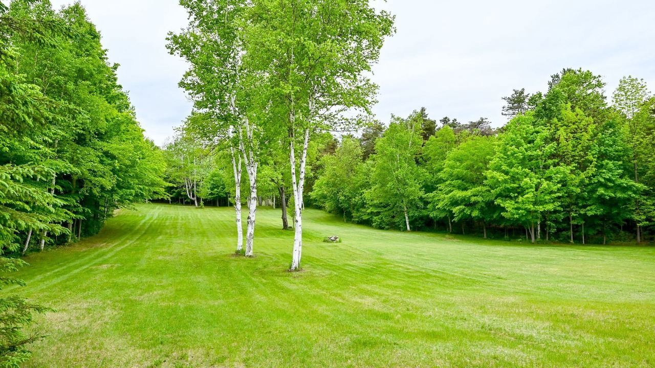 Photo of Outdoor in Mulmur