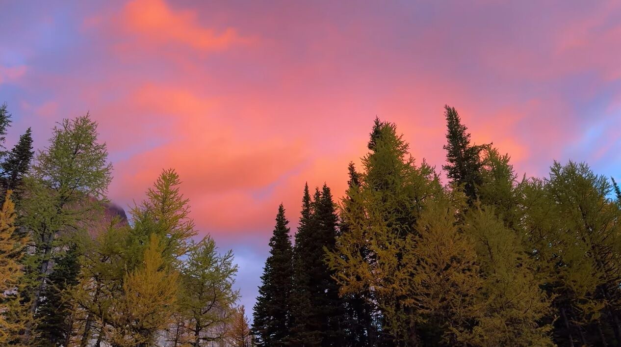 Photo of Others in East Kootenay
