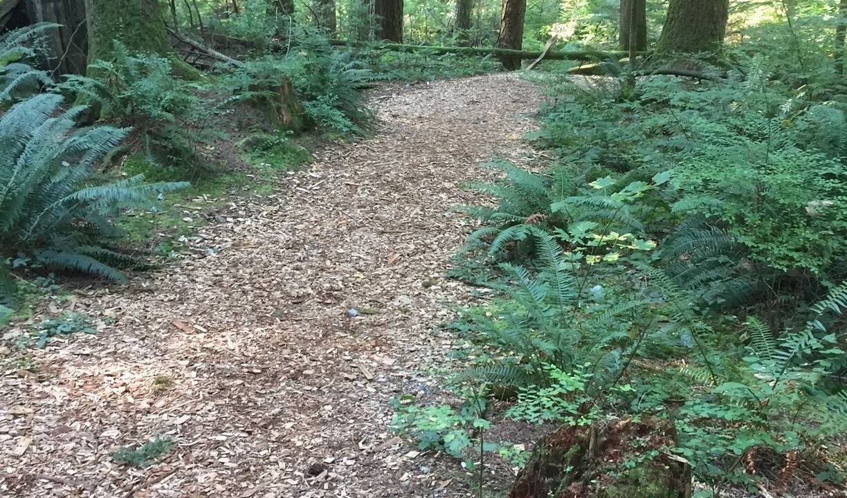Photo of Outdoor in Maple Ridge