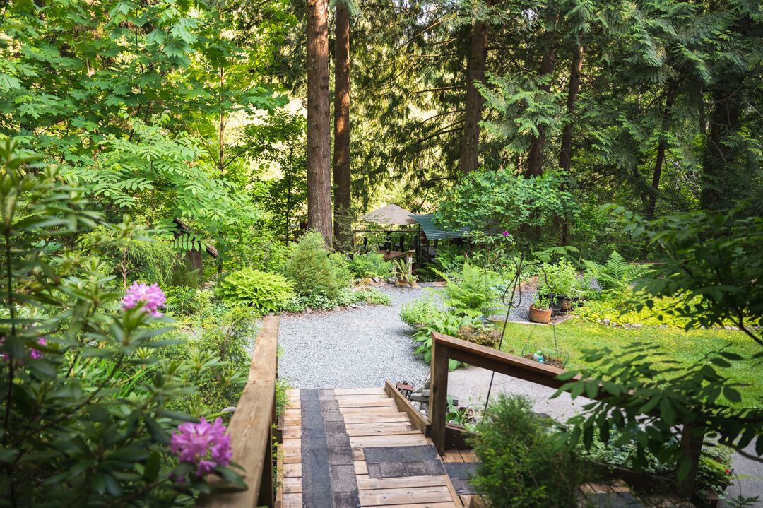 Photo of Outdoor in Maple Ridge
