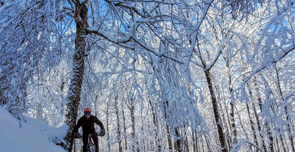 Photo of Others in Lac-Brome