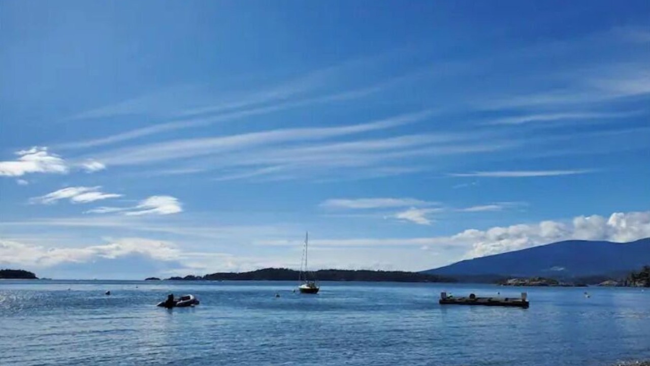Photo of Others in Bowen Island
