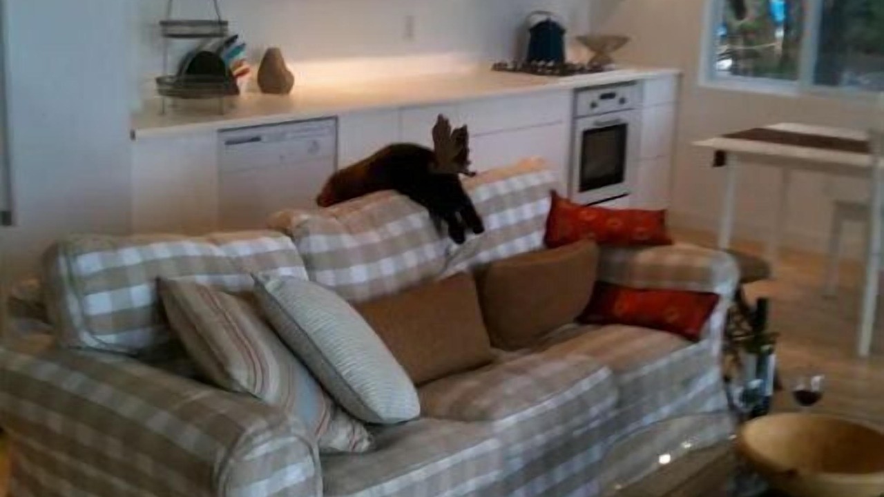Photo of Livingroom in Frontenac