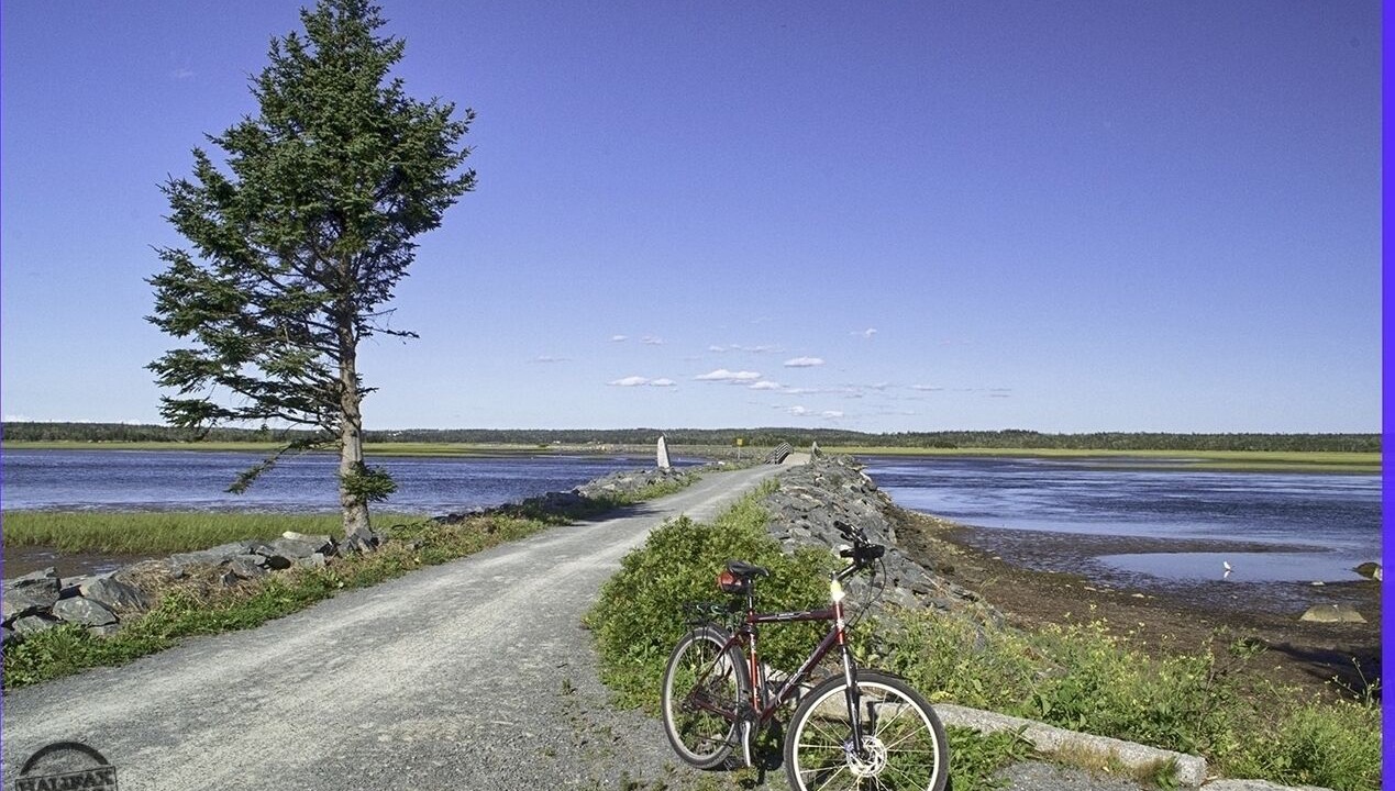 Photo of Others in Porters Lake