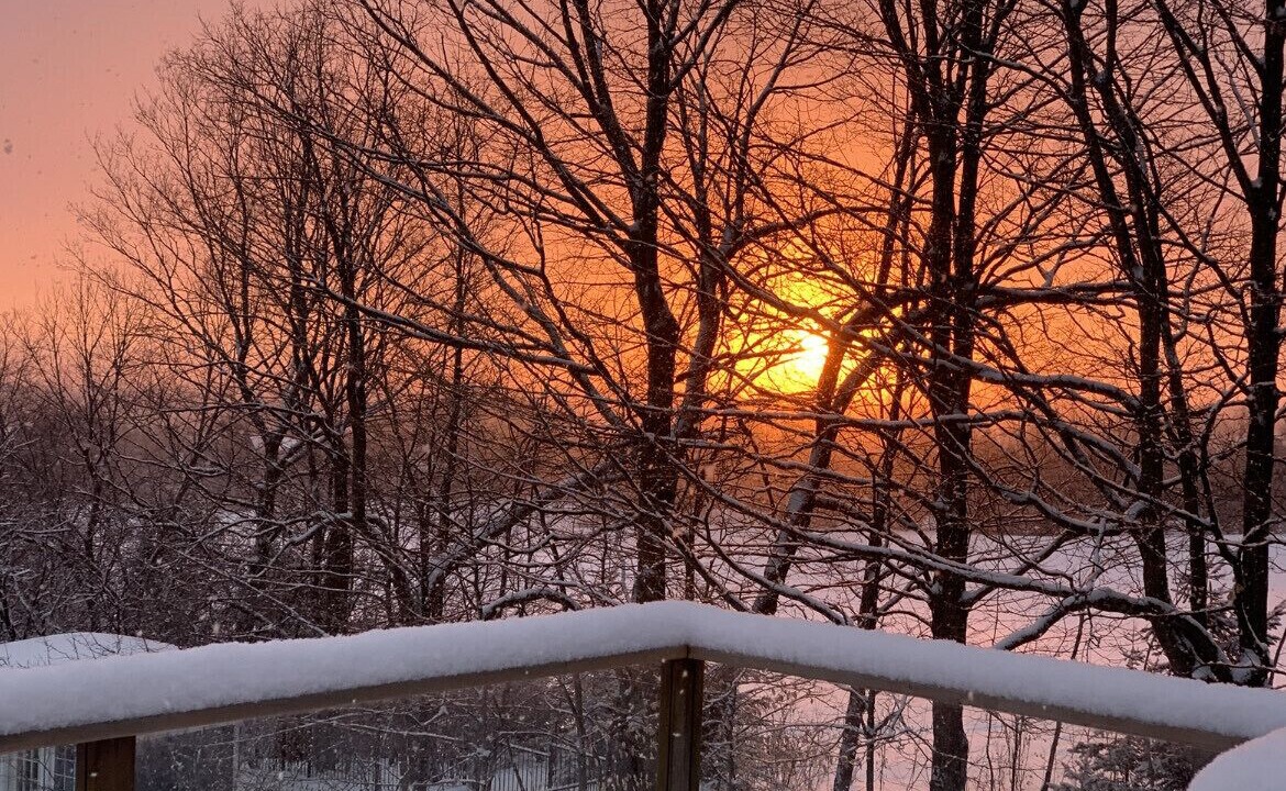 Photo of Outdoor in Clearview
