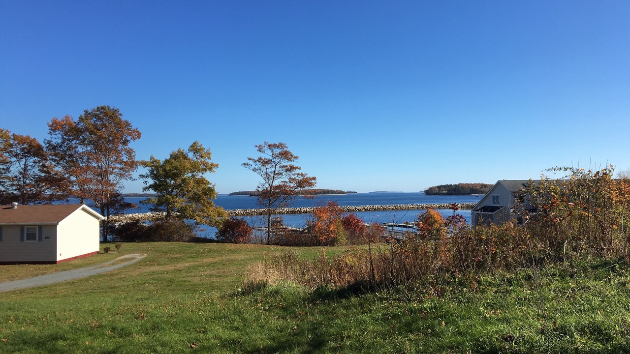 Photo of Others in Western Shore