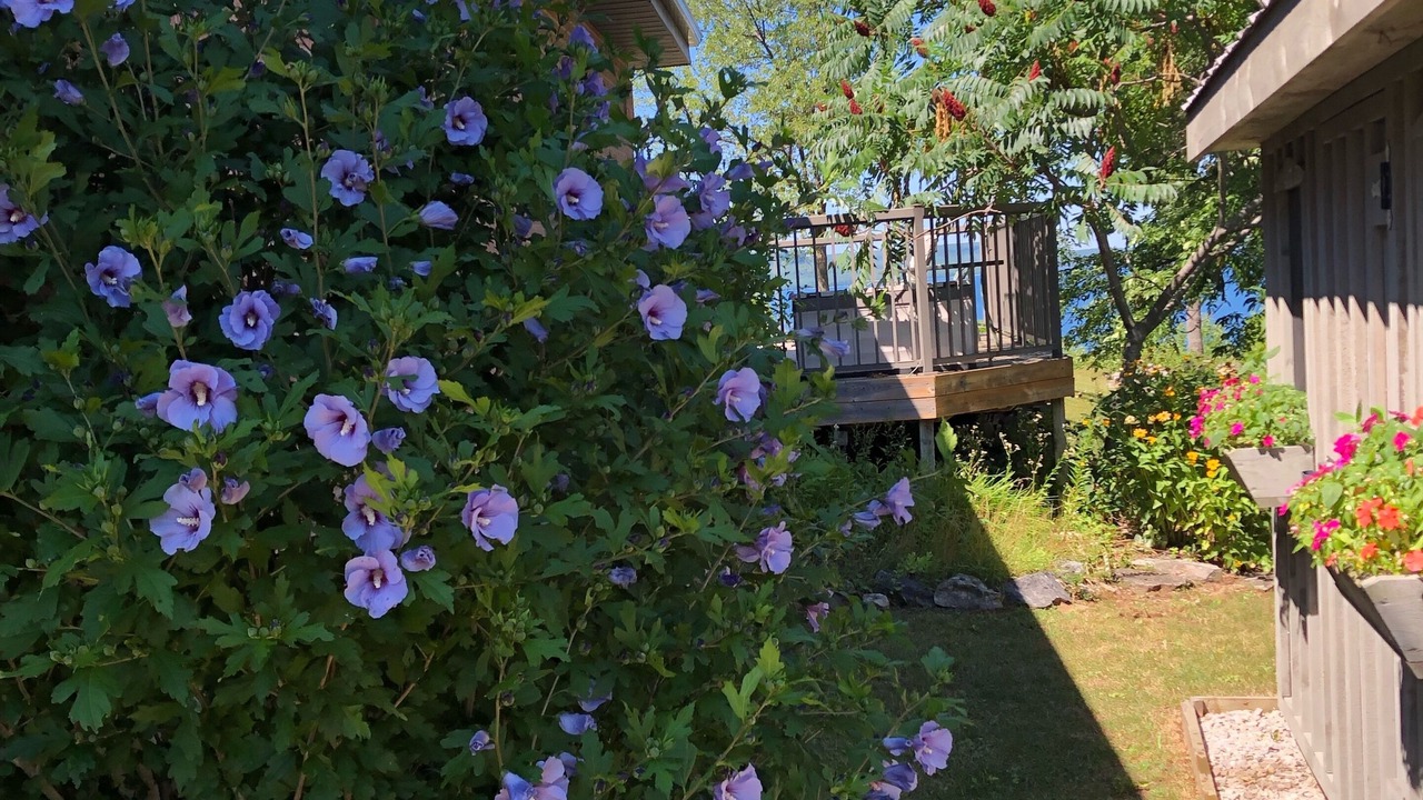 Photo of Outdoor in Georgian Bluffs