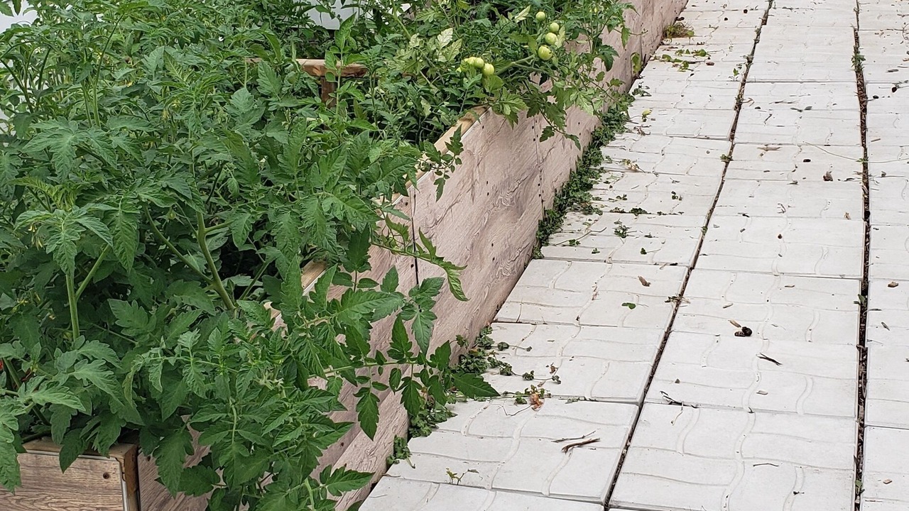Photo of Outdoor in Pointe Claire