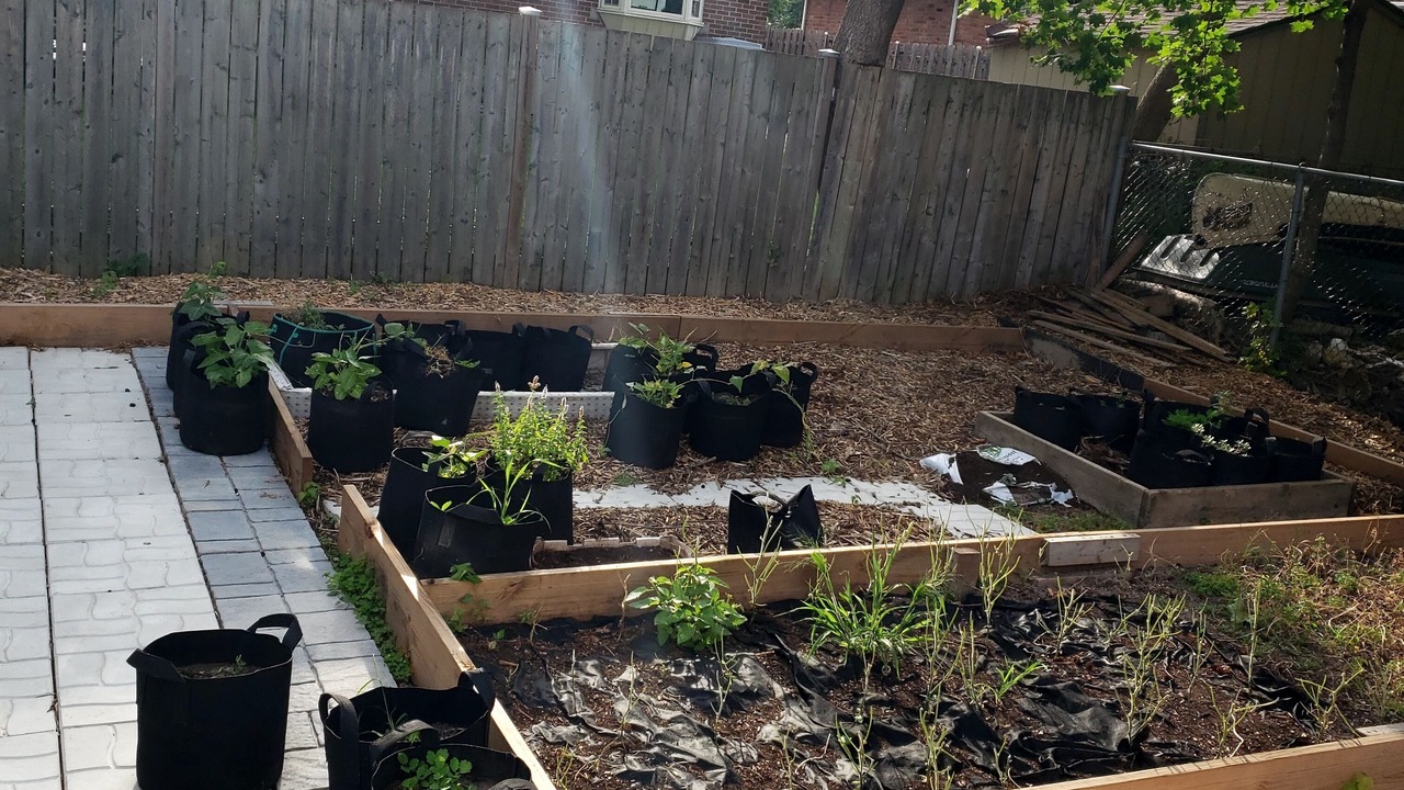 Photo of Outdoor in Pointe Claire
