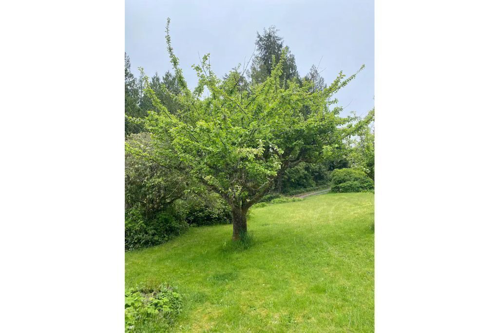 Photo of Outdoor in Ucluelet