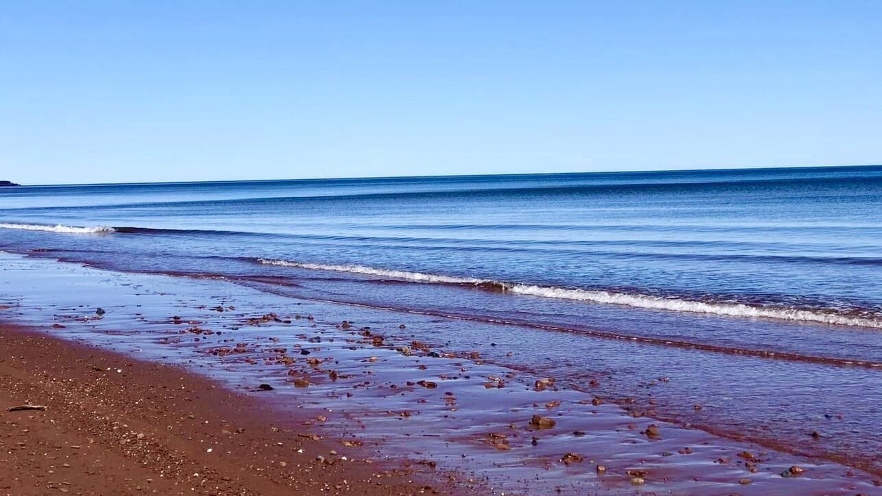 Photo of Others in Tignish