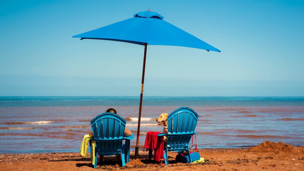 Photo of Others in Tignish