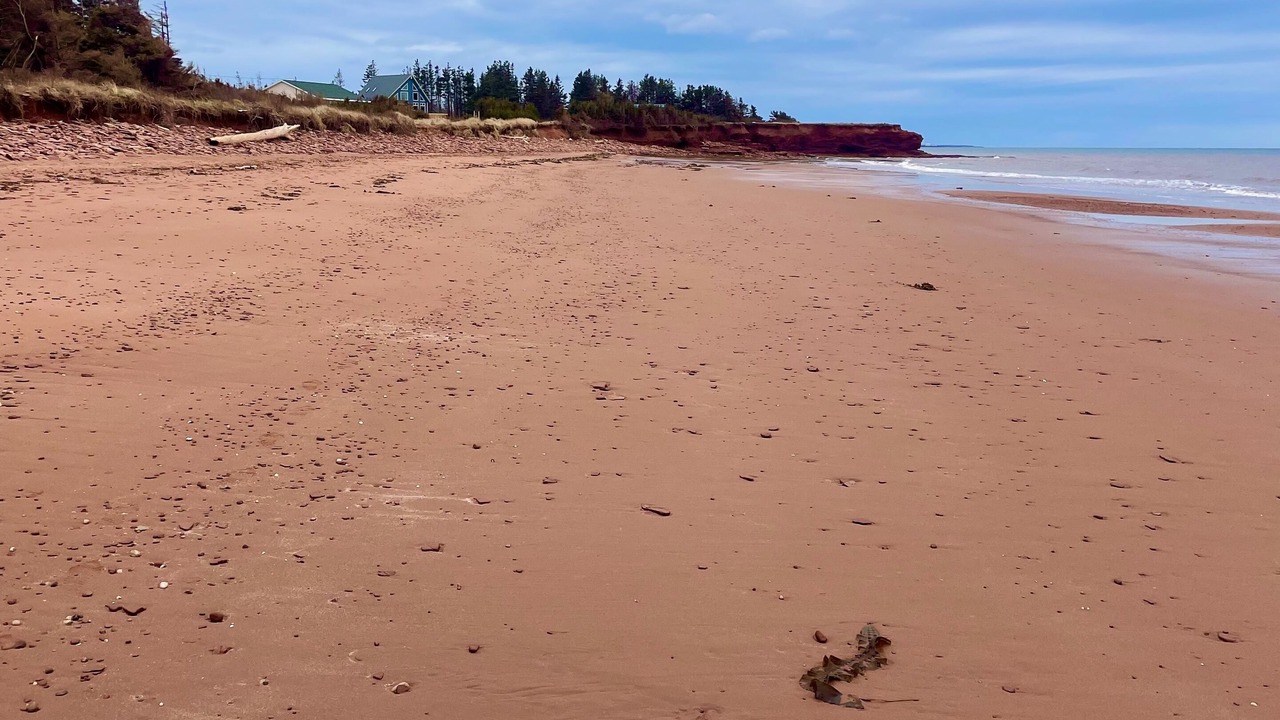 Photo of Others in Tignish