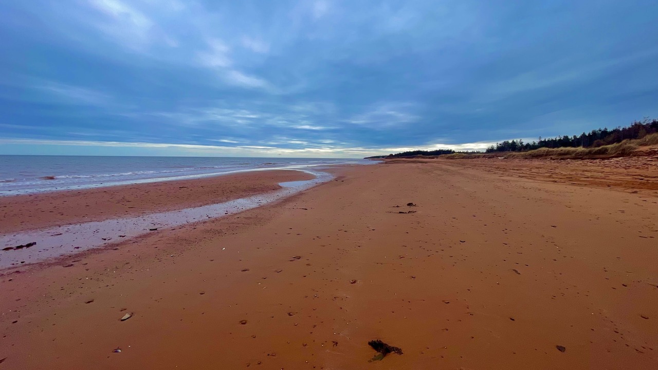 Photo of Others in Tignish