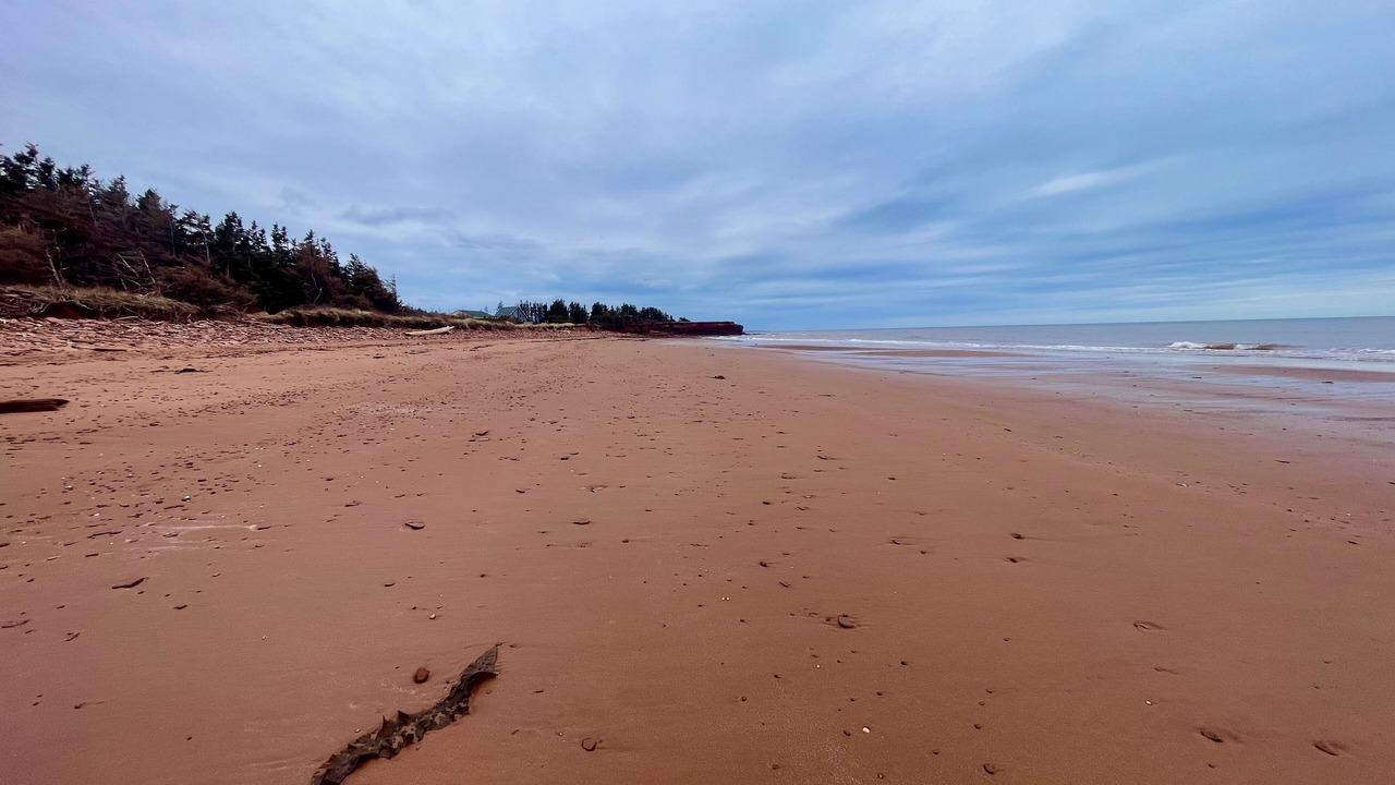 Photo of Others in Tignish
