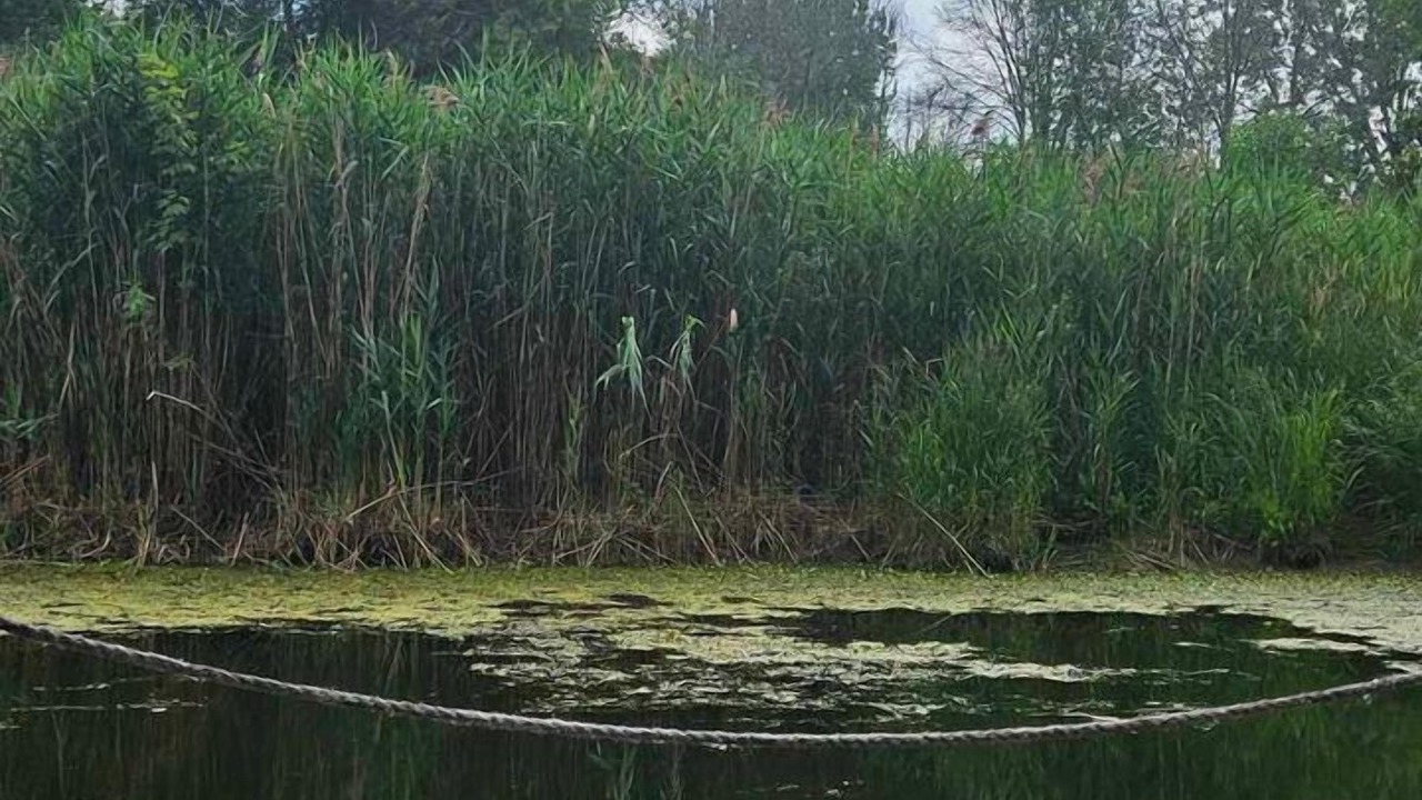 Photo of Others in Saint-Paul-de-l'Ile-aux-Noix
