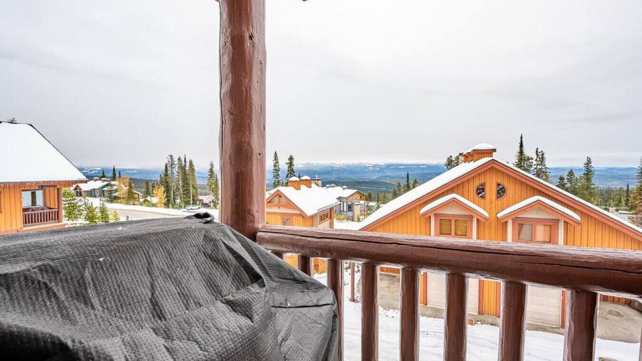 Photo of Outdoor in The Forest