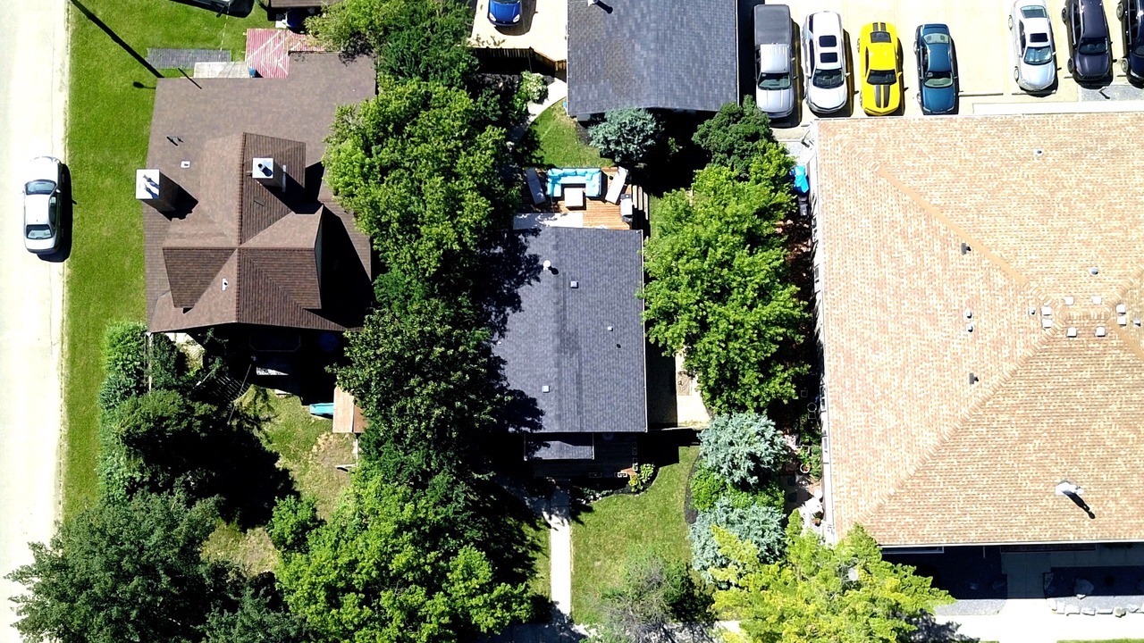 Photo of Others in Sylvan Lake