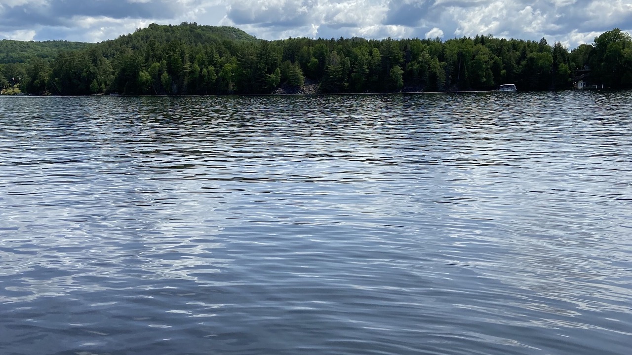 Photo of Outdoor in Bowman