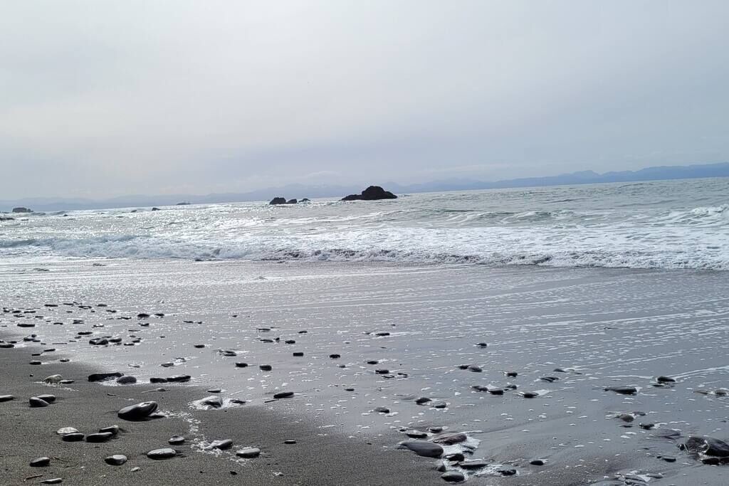 Photo of Others in Port Renfrew