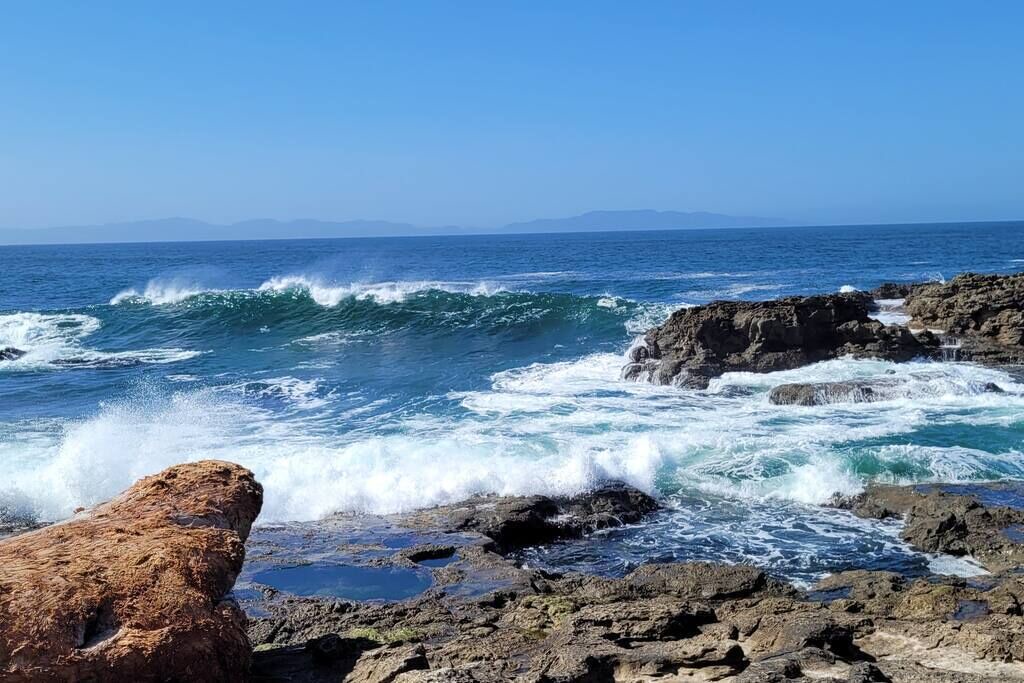 Photo of Others in Port Renfrew