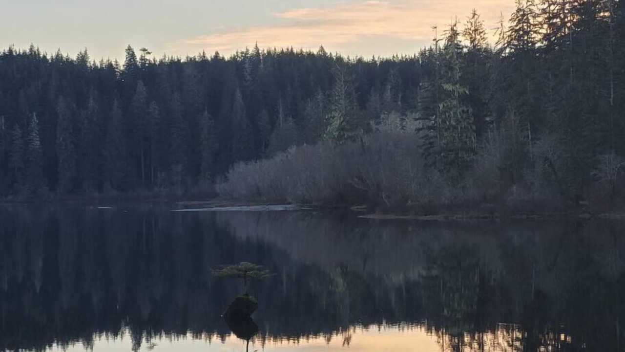 Photo of Outdoor in Port Renfrew