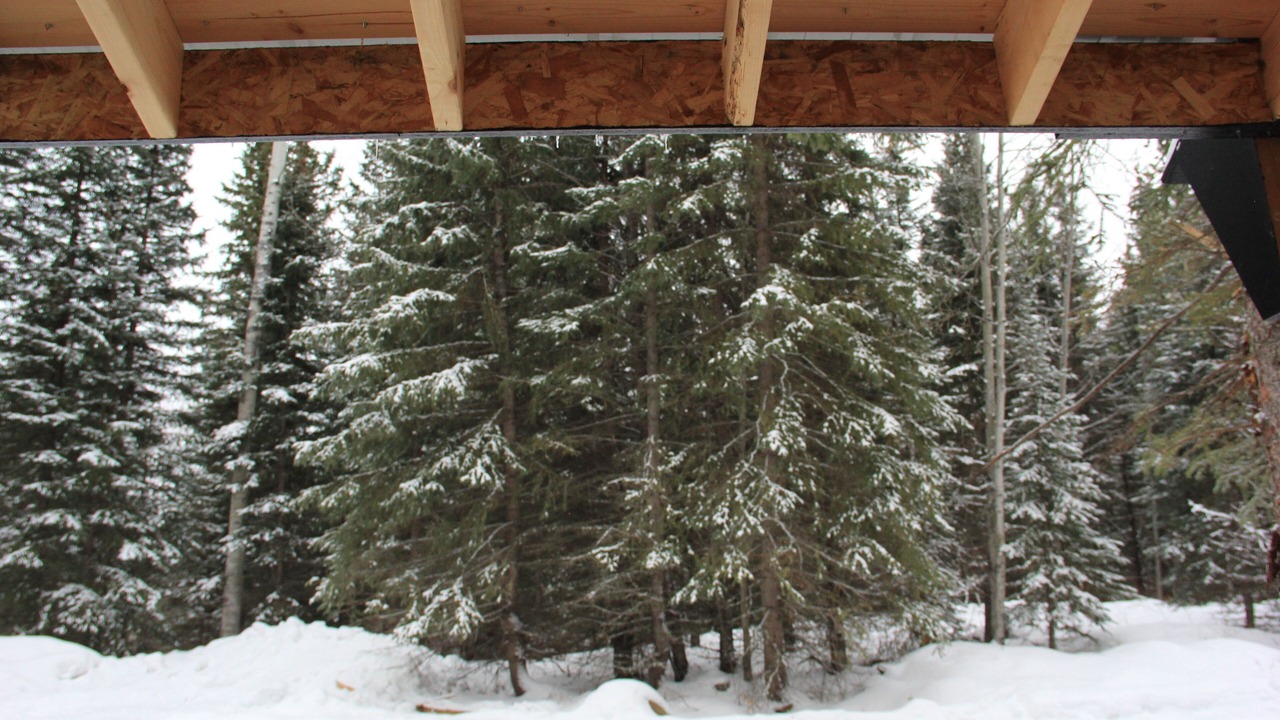 Photo of Outdoor in Bridge Lake