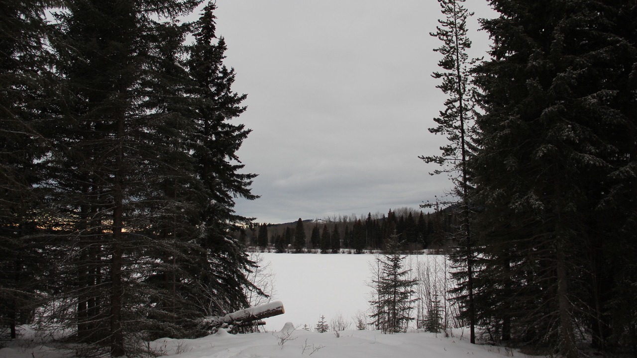 Photo of Outdoor in Bridge Lake