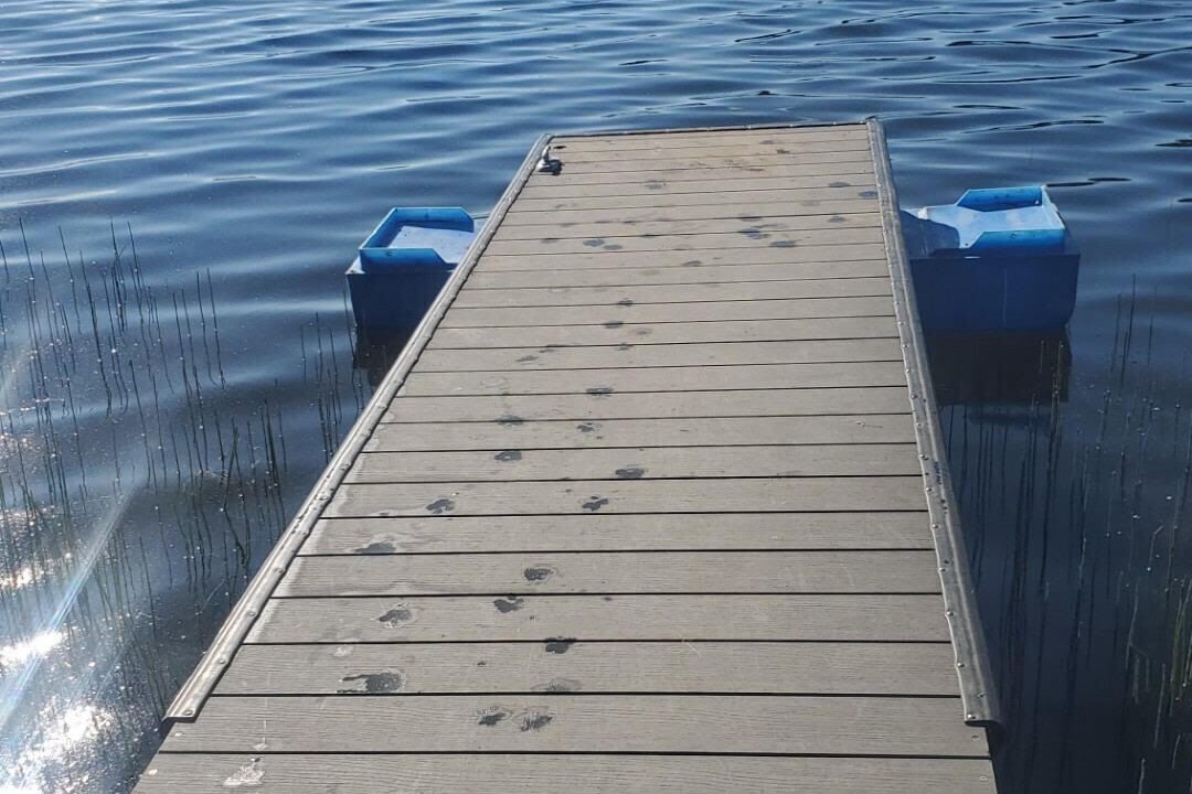 Photo of Others in Bridge Lake